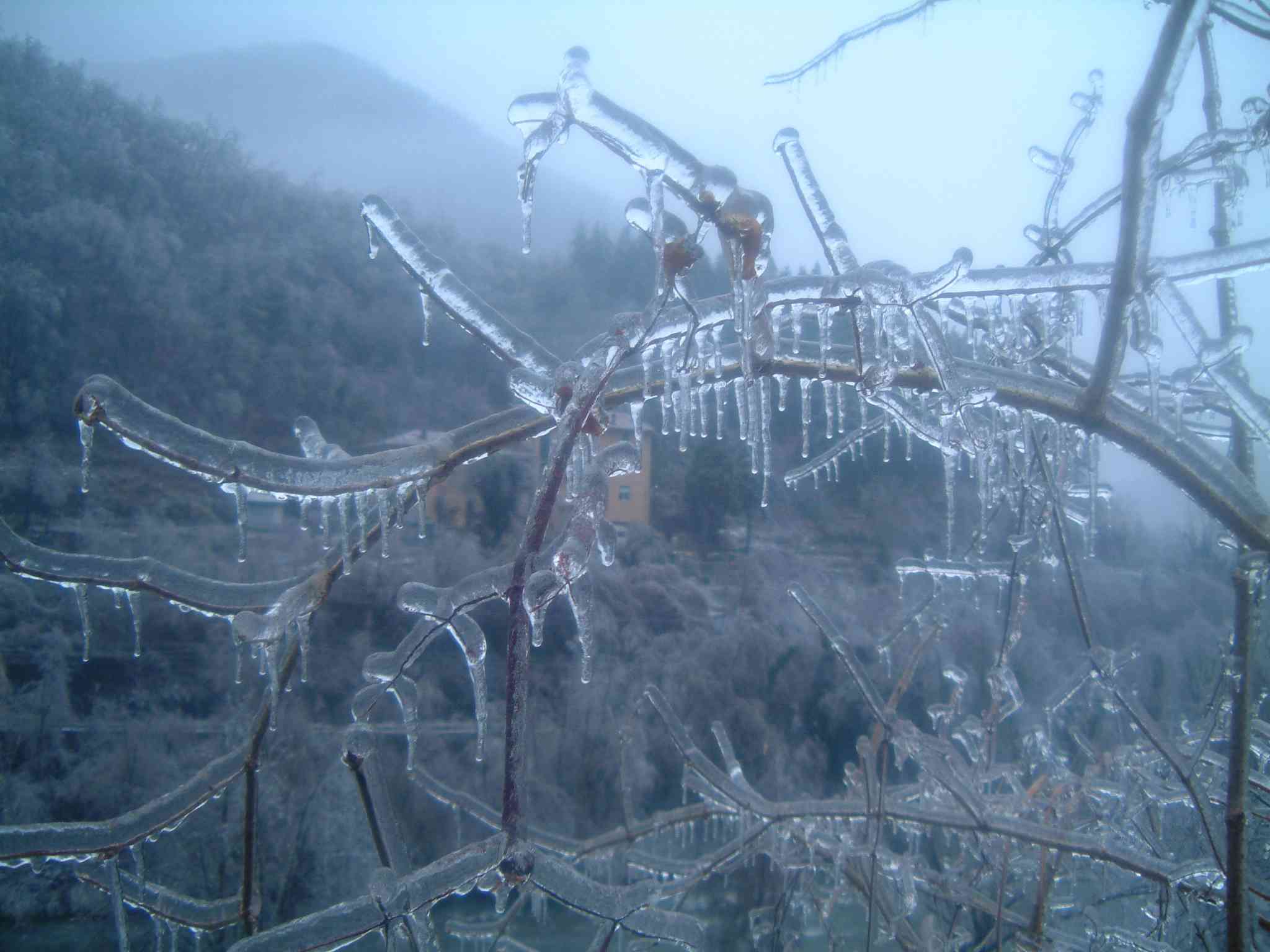  Image name: DSCF6772.JPG 
 width: 2048 pixel 
 height: 1536 pixel 
 Size: 135891 bytes 
 Click to enlarge 